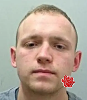 Profile image of Joel Fricker
